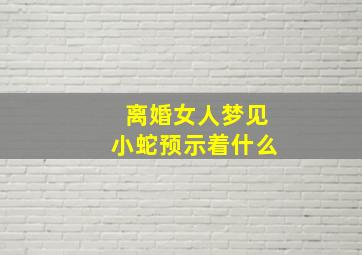 离婚女人梦见小蛇预示着什么