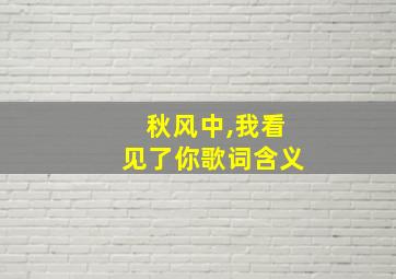 秋风中,我看见了你歌词含义