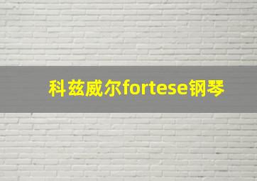 科兹威尔fortese钢琴