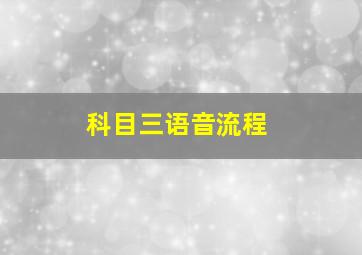 科目三语音流程