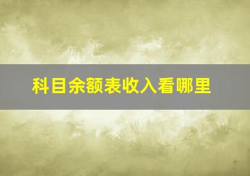 科目余额表收入看哪里