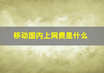 移动国内上网费是什么