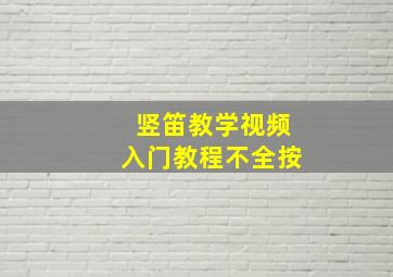 竖笛教学视频入门教程不全按