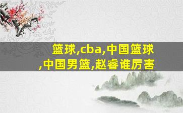 篮球,cba,中国篮球,中国男篮,赵睿谁厉害