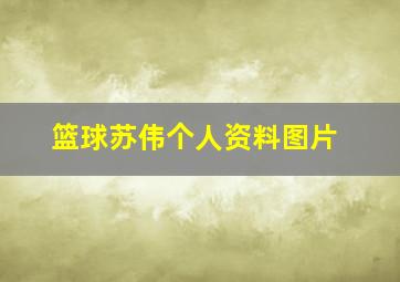 篮球苏伟个人资料图片