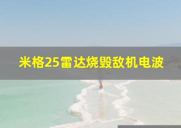 米格25雷达烧毁敌机电波