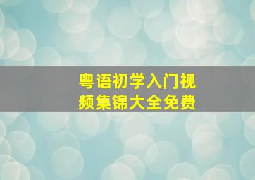 粤语初学入门视频集锦大全免费