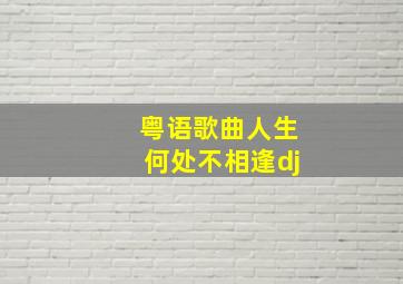 粤语歌曲人生何处不相逢dj