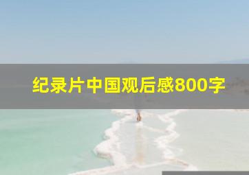 纪录片中国观后感800字