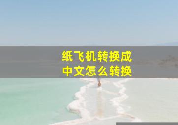 纸飞机转换成中文怎么转换