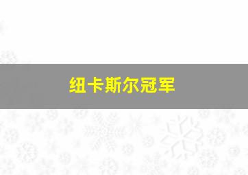 纽卡斯尔冠军