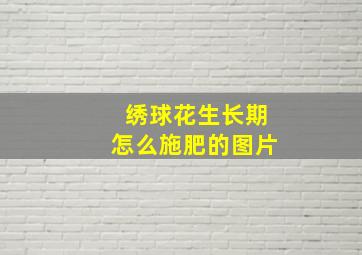 绣球花生长期怎么施肥的图片