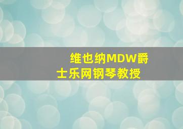 维也纳MDW爵士乐网钢琴教授