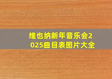 维也纳新年音乐会2025曲目表图片大全