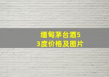 缅甸茅台酒53度价格及图片