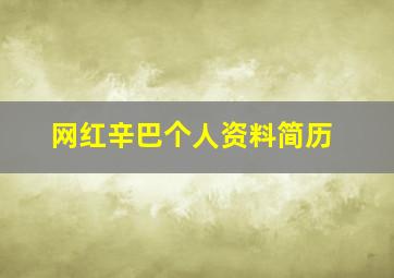 网红辛巴个人资料简历