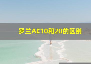 罗兰AE10和20的区别