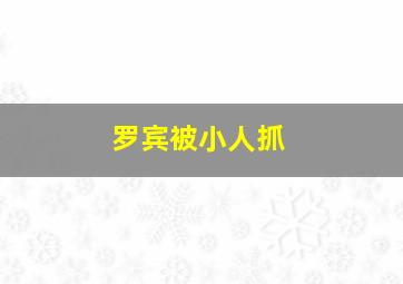 罗宾被小人抓