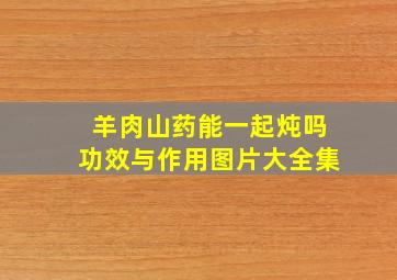 羊肉山药能一起炖吗功效与作用图片大全集