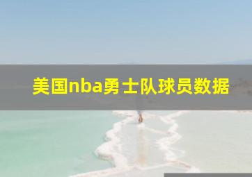 美国nba勇士队球员数据