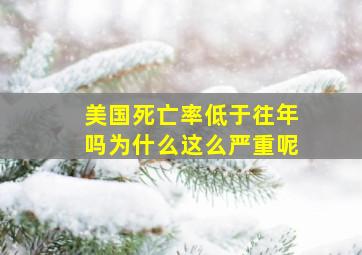 美国死亡率低于往年吗为什么这么严重呢