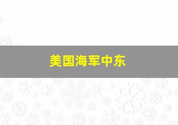 美国海军中东