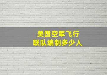 美国空军飞行联队编制多少人