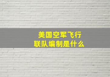 美国空军飞行联队编制是什么