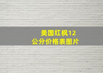 美国红枫12公分价格表图片