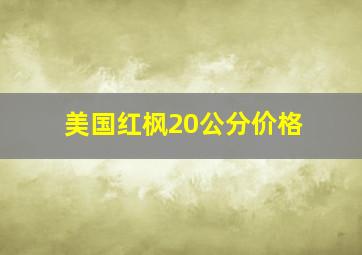 美国红枫20公分价格