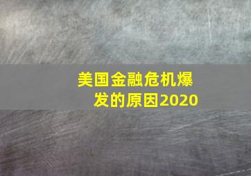 美国金融危机爆发的原因2020