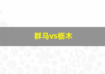 群马vs枥木