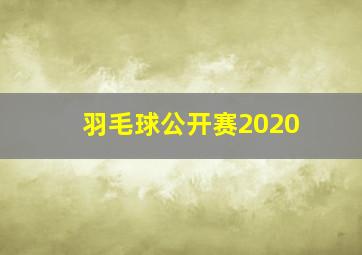 羽毛球公开赛2020