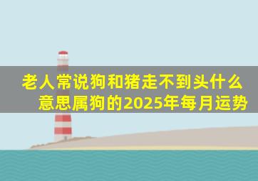 老人常说狗和猪走不到头什么意思属狗的2025年每月运势