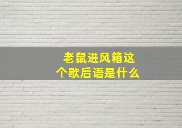 老鼠进风箱这个歇后语是什么