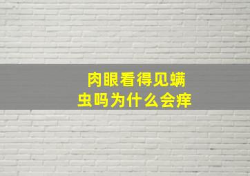 肉眼看得见螨虫吗为什么会痒