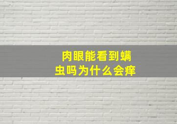 肉眼能看到螨虫吗为什么会痒