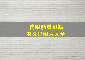 肉眼能看见螨虫么吗图片大全