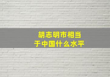 胡志明市相当于中国什么水平