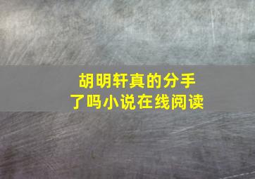 胡明轩真的分手了吗小说在线阅读