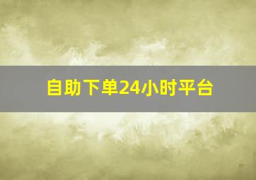 自助下单24小时平台