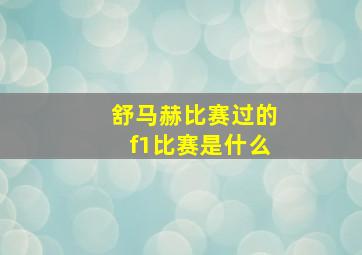 舒马赫比赛过的f1比赛是什么