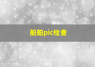 船舶pic检查