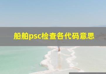 船舶psc检查各代码意思