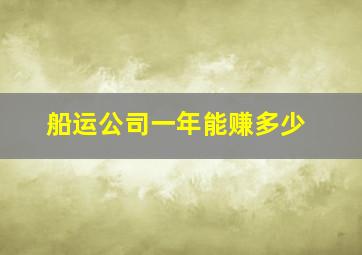 船运公司一年能赚多少