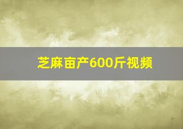 芝麻亩产600斤视频