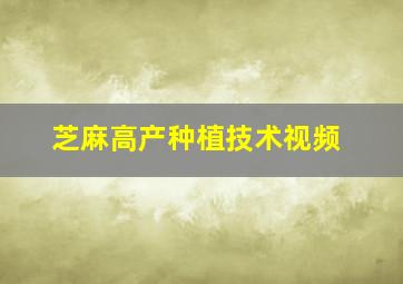 芝麻高产种植技术视频