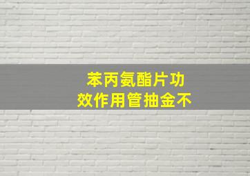 苯丙氨酯片功效作用管抽金不