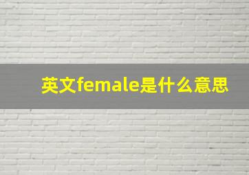 英文female是什么意思