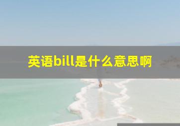 英语bill是什么意思啊